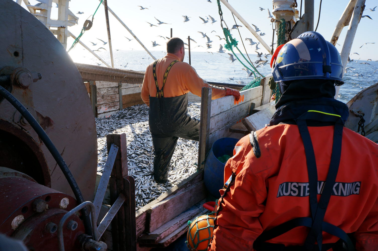 The Coast Guard conducts a fisheries inspection at sea