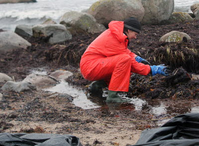 Operation Marco Polo 231025 strandnära oljebekämpning